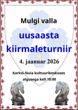 Mulgi valla uusaasta kiirmaleturniir